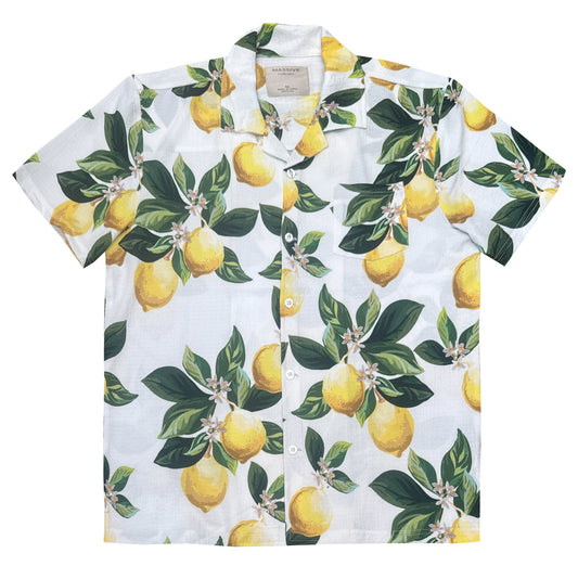 Lemon Set SS Buttondown