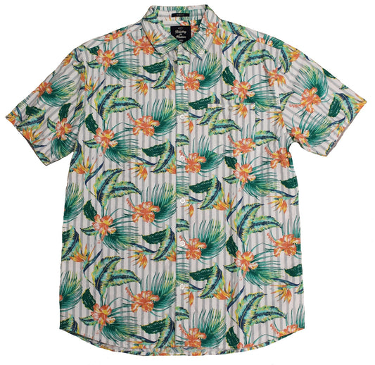 Iguana SS Button-down