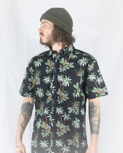 Coco SS Buttondown